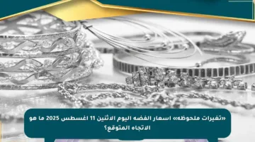 «تغيرات ملحوظة» أسعار الفضة اليوم الإثنين 11 أغسطس 2025 ما هو الاتجاه المتوقع؟